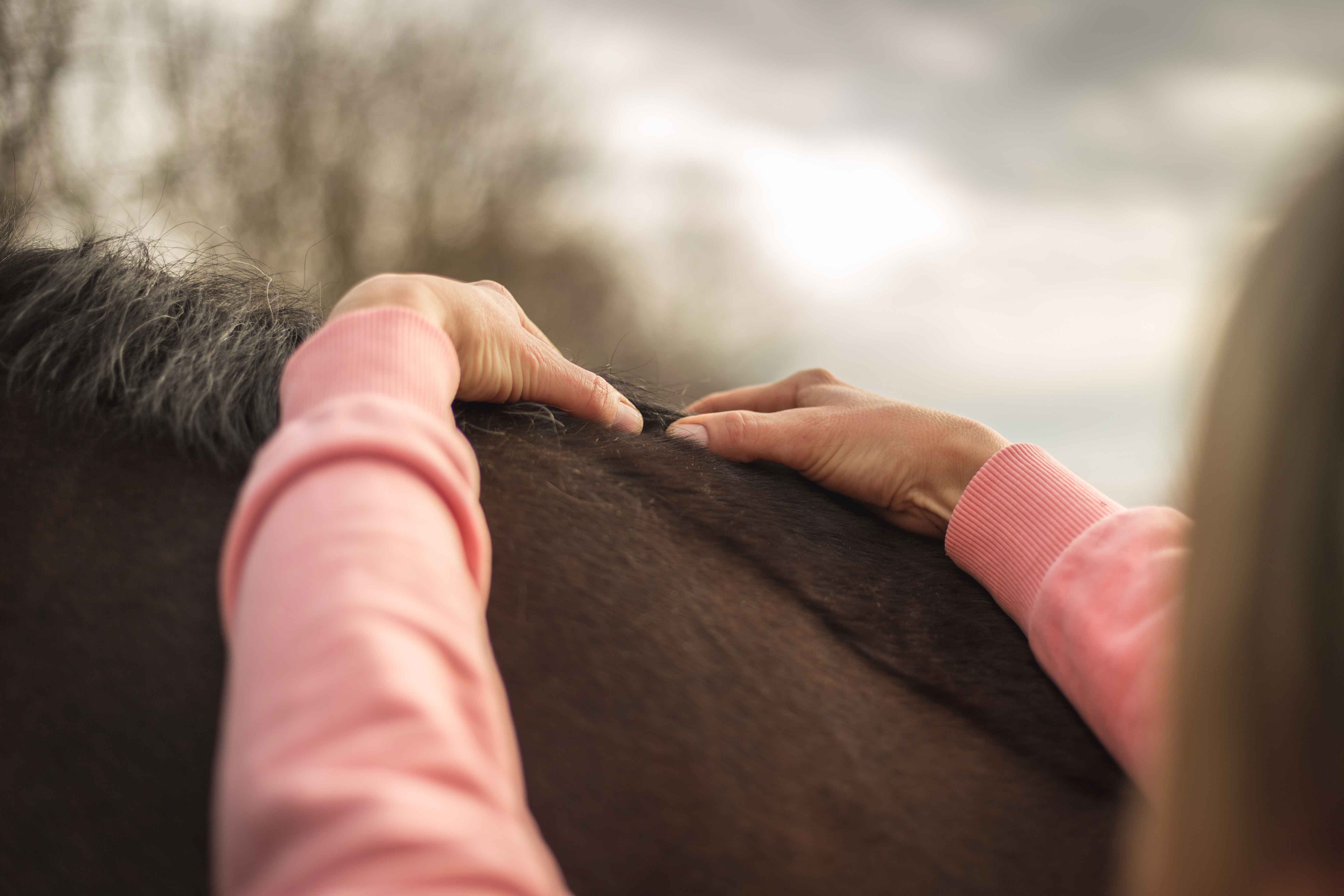 Osteopathiebehandlung