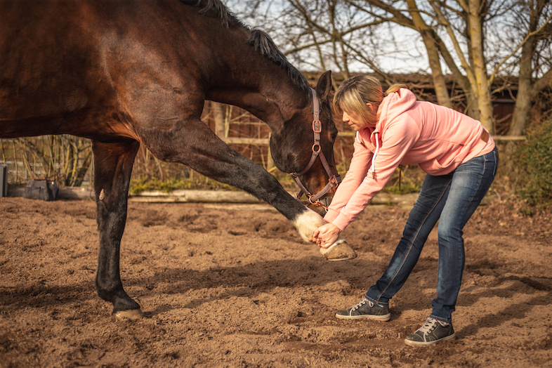 Osteopathiebehandlung